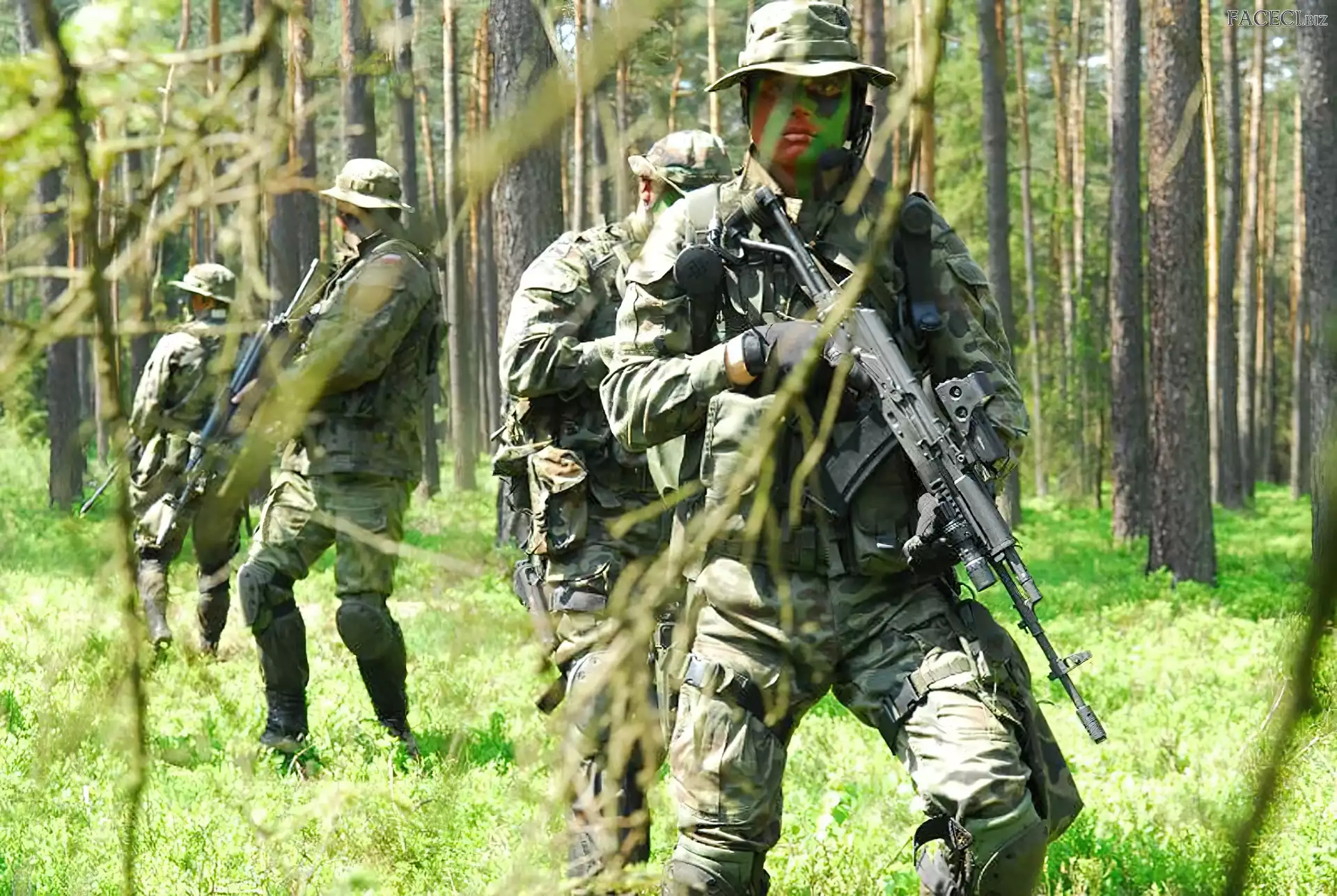 Żołnierzy, Lesie, Zwiad, W